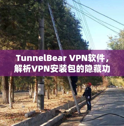 TunnelBear VPN软件,解析VPN安装包的隐藏功能与实用技巧