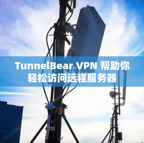 TunnelBear VPN 帮助你轻松访问远程服务器