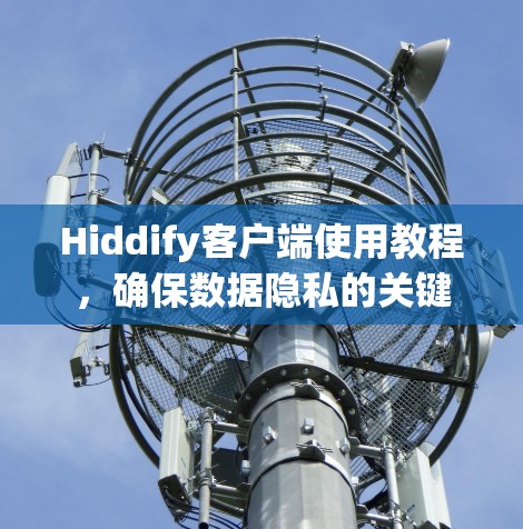 Hiddify客户端使用教程,确保数据隐私的关键
