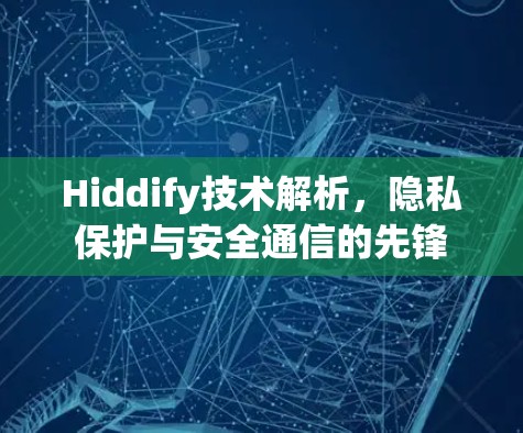 Hiddify技术解析,隐私保护与安全通信的先锋