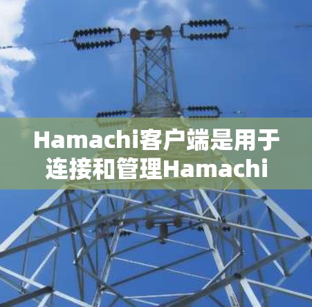 Hamachi客户端是用于连接和管理Hamachi网络的应用程序。Hamachi是一个基于零信任的网络连接工具,允许用户在本地网络中创建安全的虚拟网络,方便多设备之间的互联