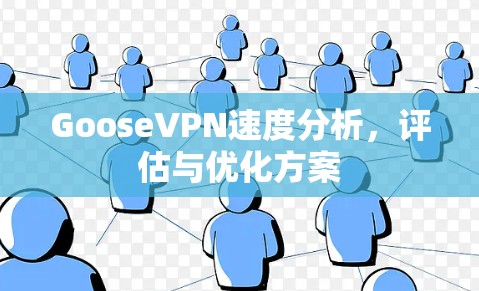 GooseVPN速度分析，评估与优化方案