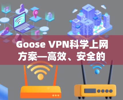 Goose VPN科学上网方案—高效、安全的网络通信解决方案