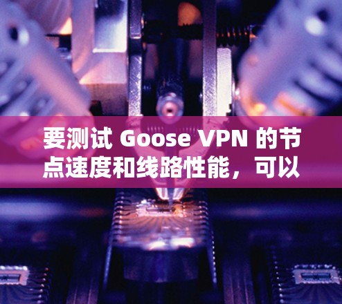要测试 Goose VPN 的节点速度和线路性能，可以按照以下步骤进行