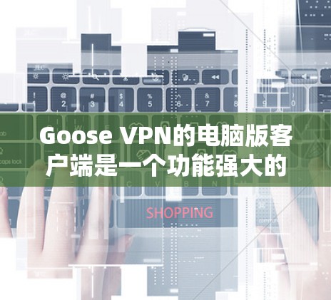 Goose VPN的电脑版客户端是一个功能强大的VPN工具，旨在帮助用户加密网络通信，保护隐私，并访问受限制的内容。以下是对该客户端的详细分析和总结