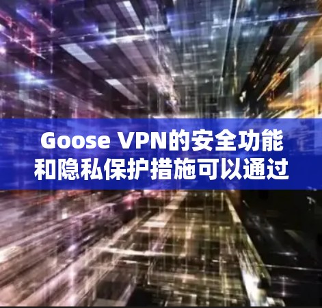 Goose VPN的安全功能和隐私保护措施可以通过以下几个方面进行详细分析