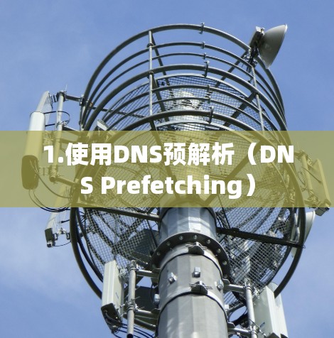 1.使用DNS预解析(DNS Prefetching)