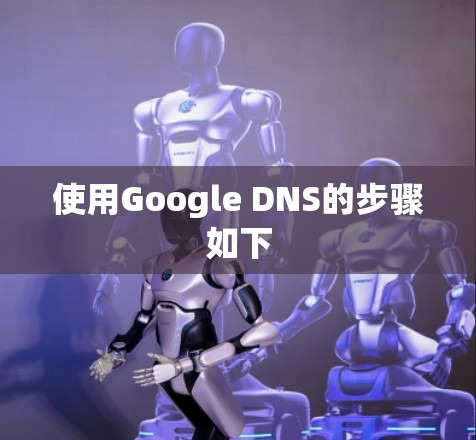 使用Google DNS的步骤如下