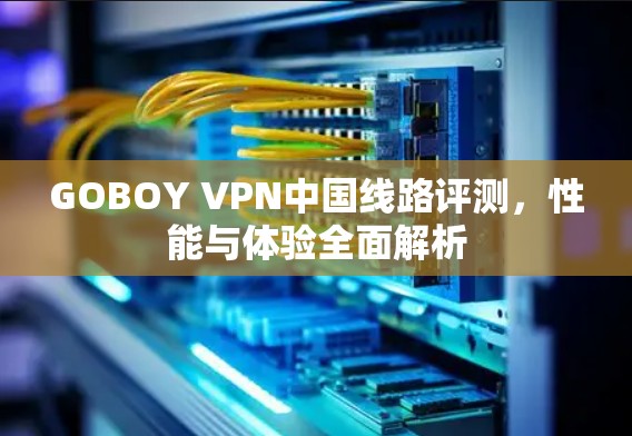 GOBOY VPN中国线路评测,性能与体验全面解析