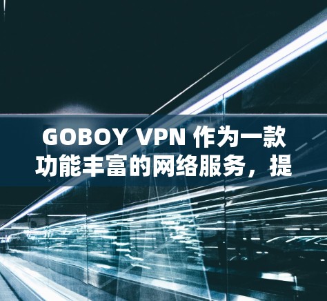 GOBOY VPN 作为一款功能丰富的网络服务,提供了多方面的功能以满足用户的各种需求。以下是对其功能的详细分析