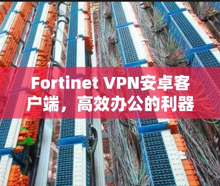 Fortinet VPN安卓客户端,高效办公的利器