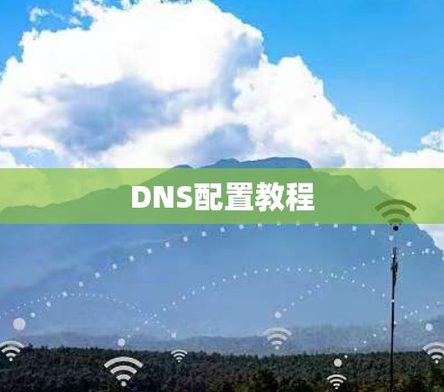 DNS配置教程