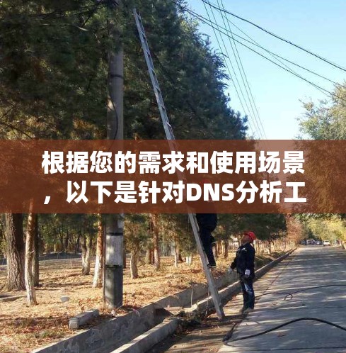 根据您的需求和使用场景，以下是针对DNS分析工具的分步建议